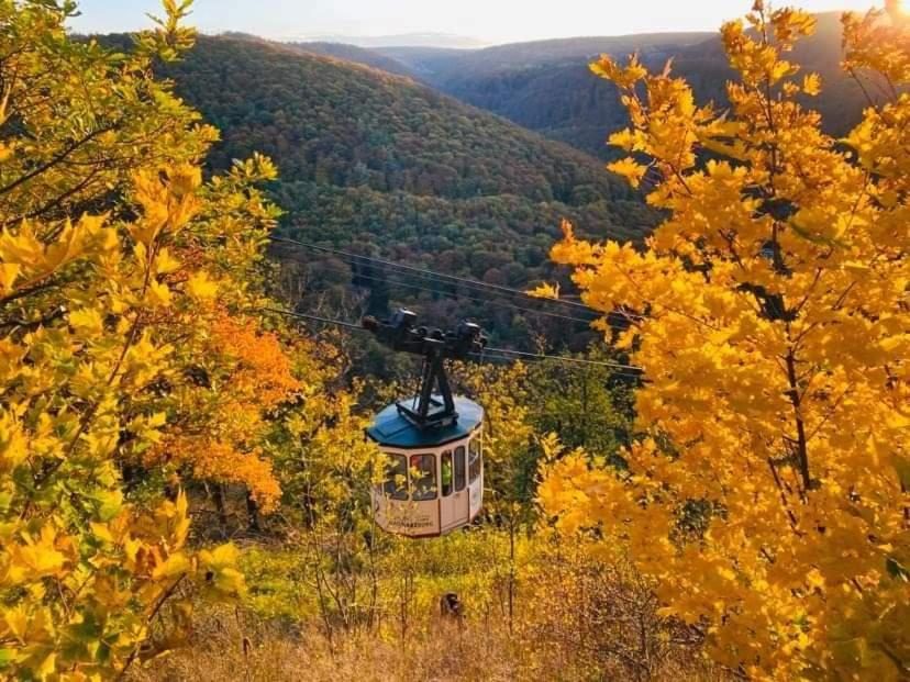 Burgberg-Seilbahn